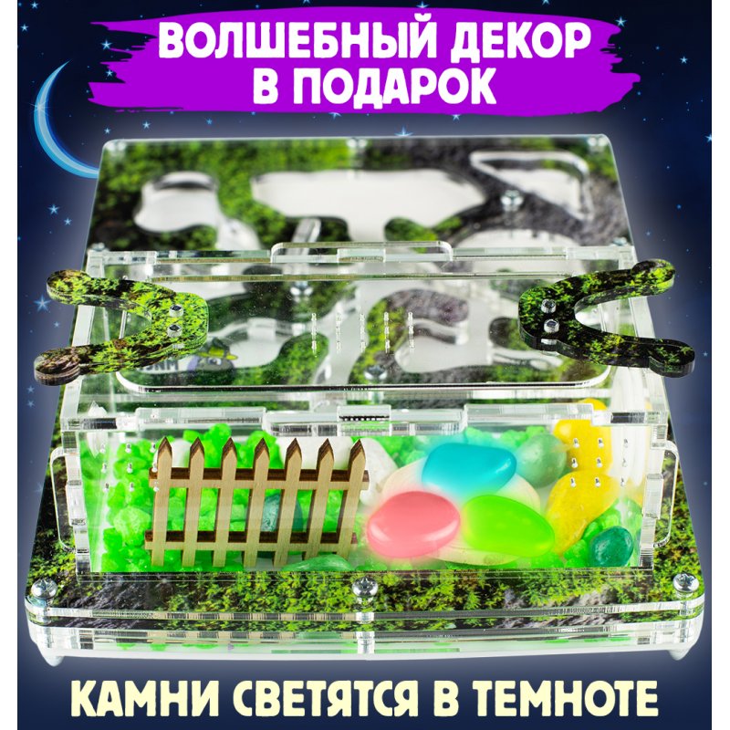 Муравьиная ферма Мини ПРО "Горный мох" (ПОЛНЫЙ КОМПЛЕКТ) Муравьиная ферма Мини ПРО "Горный мох" (ПОЛНЫЙ КОМПЛЕКТ)