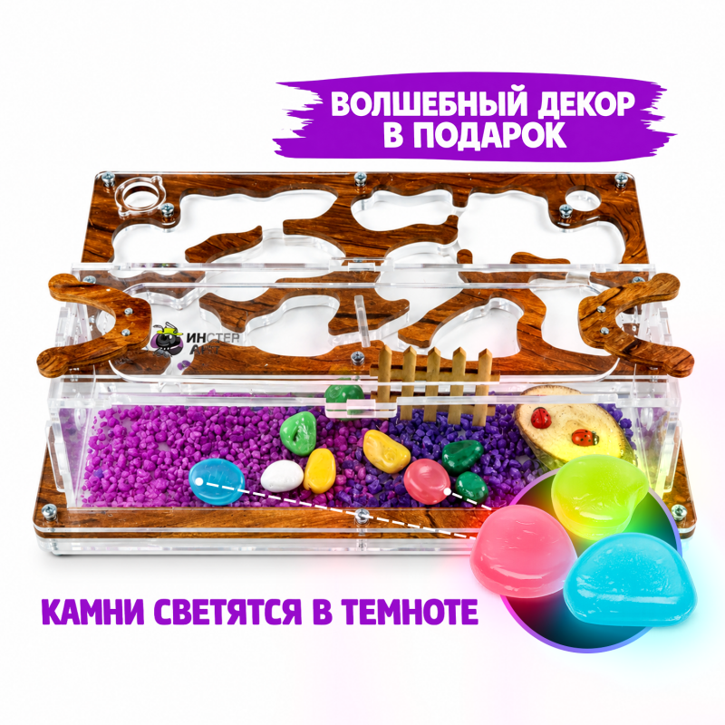 Муравьиная ферма Медиум "Дерево" (ПОЛНЫЙ КОМПЛЕКТ) Муравьиная ферма Медиум "Дерево" (ПОЛНЫЙ КОМПЛЕКТ)