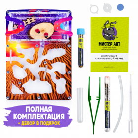 Муравьиная ферма Мини "Закат в пустыне" (ПОЛНЫЙ КОМПЛЕКТ) Муравьиная ферма Мини "Закат в пустыне" (ПОЛНЫЙ КОМПЛЕКТ)